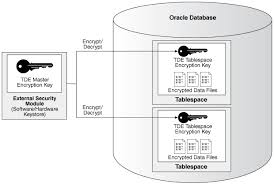 Initial Transparent Data Encryption (TDE) setup in 12c